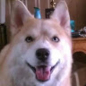 Meet your Posher, Bryan